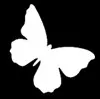 Papillon 6x6cm