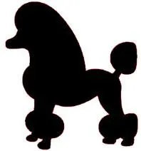 Chien 8x8