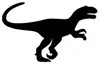 T-REX 12x18cm