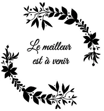 le meilleur est à venir 20x20