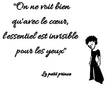 pochoir petit prince 25x25cm