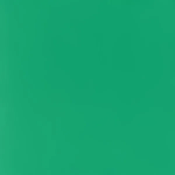 MATIFIANTE CHLOROPHYLLE 2.5L