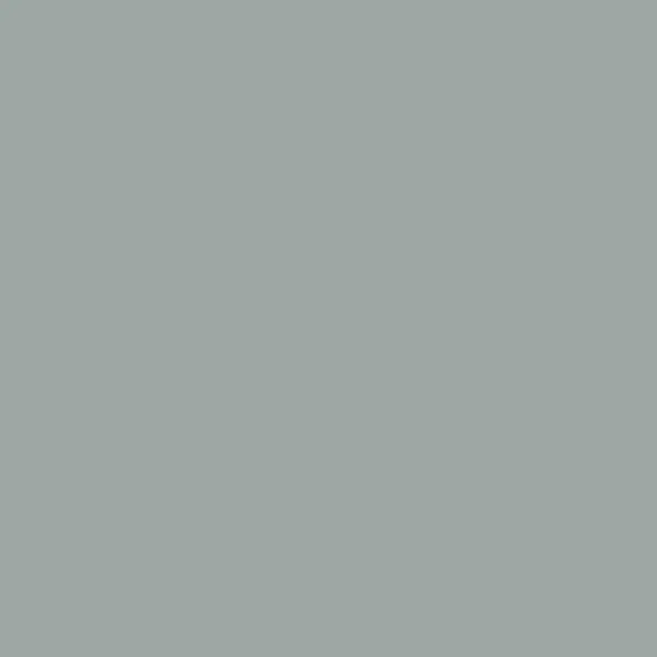 Relook 2en1 BLEU CENDRE 0.5L