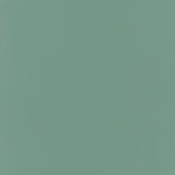Relook 2en1 SAUGE Gris Turc 0.5L