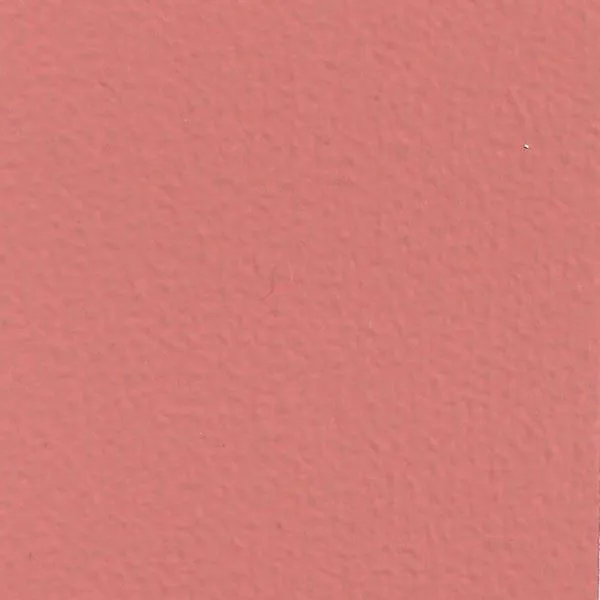 Relook 2en1 Rose Camée 0.5L