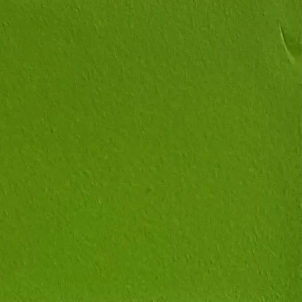 Résine Pousse de bambou